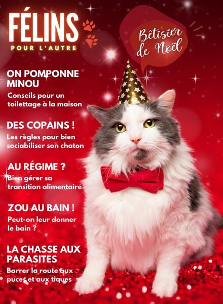 Felins pour l’autre – 26 Decembre 2023 Cover