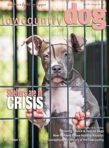 Lowcountry Dog Magazine – December 2023 Cover
