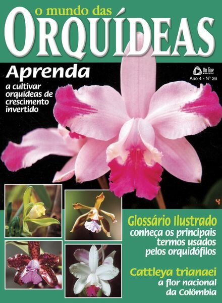 O Mundo das Orquideas – 25 Novembro 2023 Cover