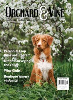 Orchard & Vine – Summer 2023