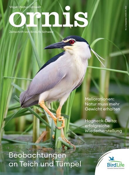 Ornis – Dezember 2023 Cover