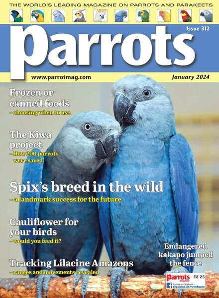 Parrots – January 2024 Cover