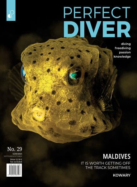 Perfect Diver – September-October 2023 Cover