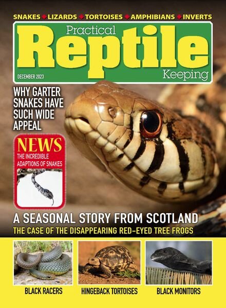 Practical Reptile Keeping – December 2023 Cover
