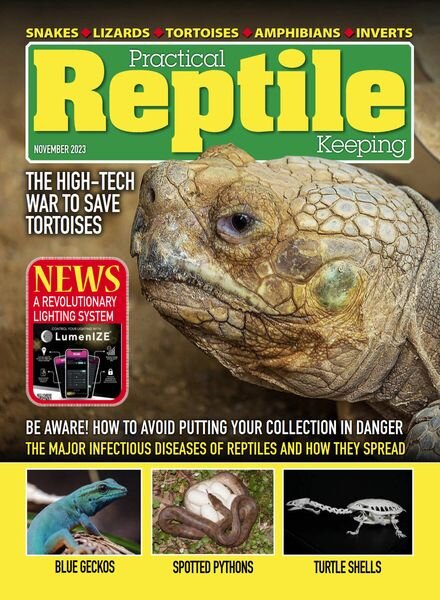 Practical Reptile Keeping – November 2023 Cover