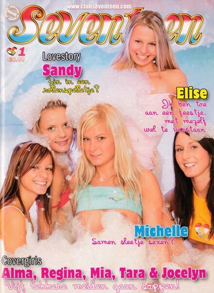 Seventeen – Nr 412 January 2008 Cover