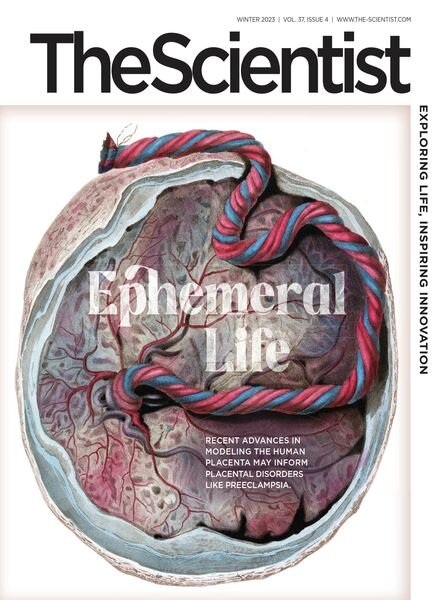 The Scientist – Winter 2023 Cover