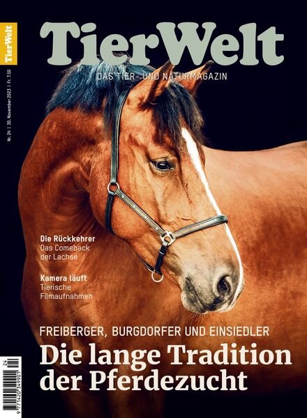 TierWelt – Dezember 2023 Cover