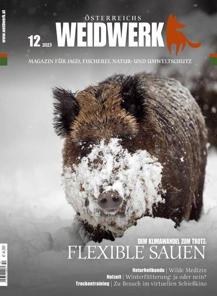 Weidwerk – Dezember 2023 Cover