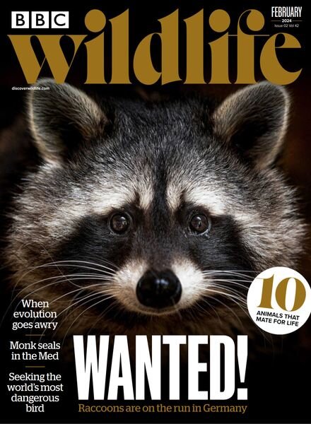 BBC Wildlife – February 2024 Cover