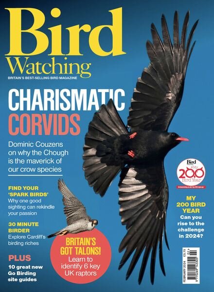 Bird Watching UK – February 2024 Cover