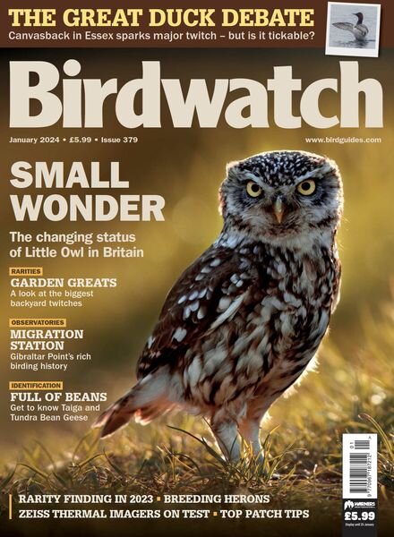 Birdwatch UK – January 2024 Cover