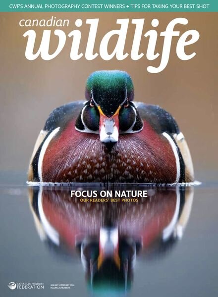 Canadian Wildlife – January-February 2024 Cover