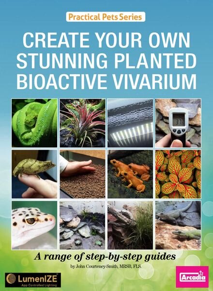 Create Your Own Stunning Planted Bioactive Vivarium – January 2024 Cover