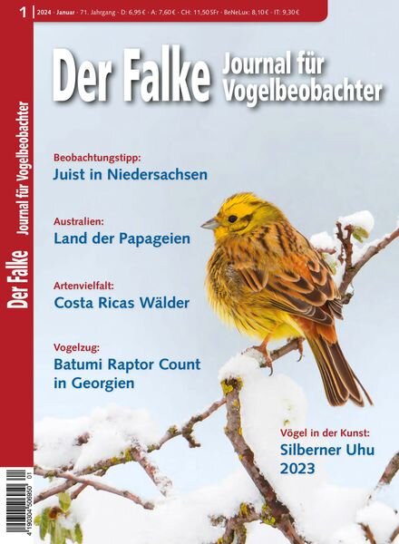 Der Falke Journal fur Vogelbeobachter – Januar 2024 Cover