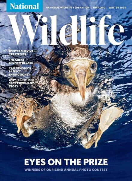 National Wildlife – Winter 2024 Cover