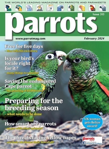 Parrots – February 2024 Cover