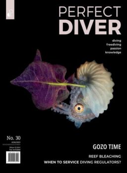 Perfect Diver – November-December 2023
