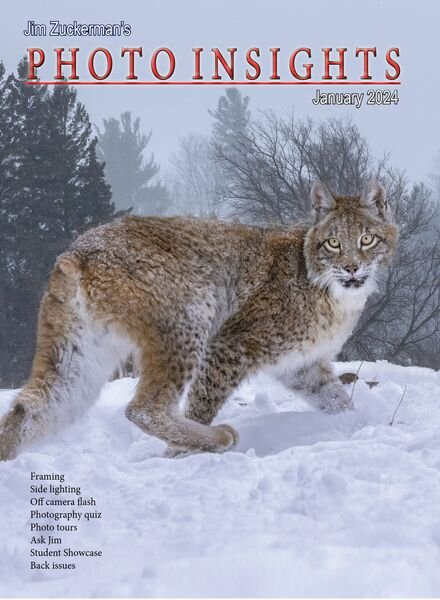Photo Insights – January 2024 Cover