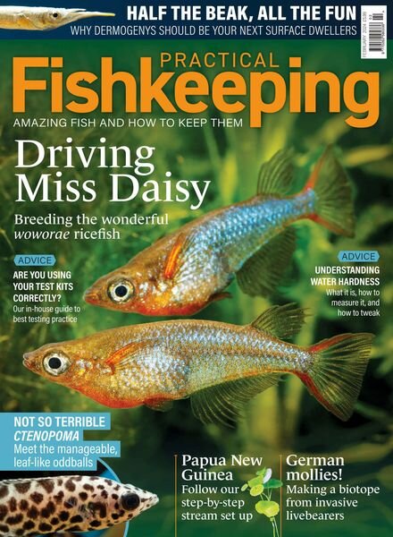 Practical Fishkeeping – February 2024 Cover