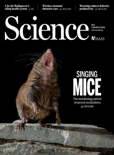 Science – 1 March 2019 Cover