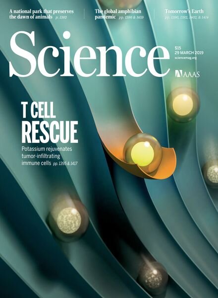 Science – 29 March 2019 Cover