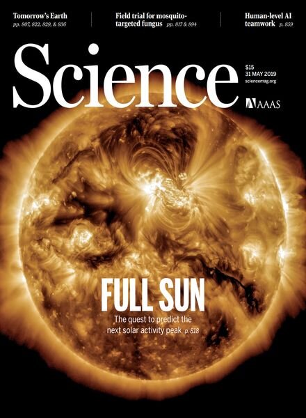 Science – 31 May 2019 Cover