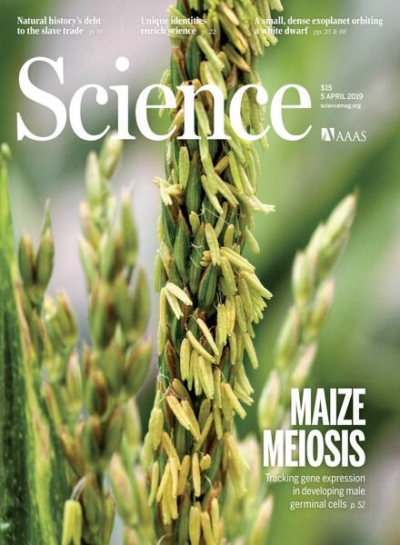 Science – 5 April 2019 Cover