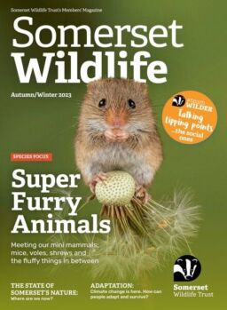 Somerset Wildlife – Autumn-Winter 2023