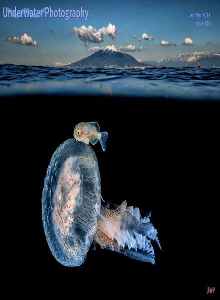 Underwater Photography – January-February 2024 Cover