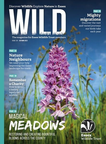 Wild Magazine – Autumn 2023 Cover