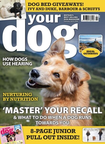 Your Dog – February 2024 Cover