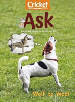 Ask – February 2024