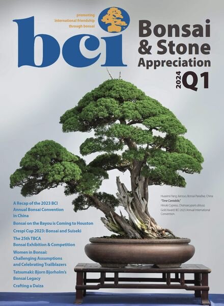 BCI Bonsai & Stone Appreciation Magazine – February 2024 Cover