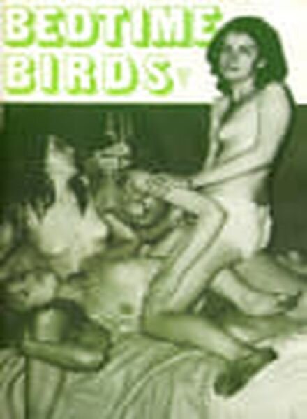 Bedtime Birds – N 1 Cover