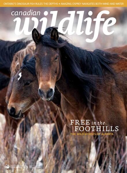 Canadian Wildlife – March-April 2024 Cover