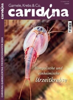 Caridina – Februar 2024