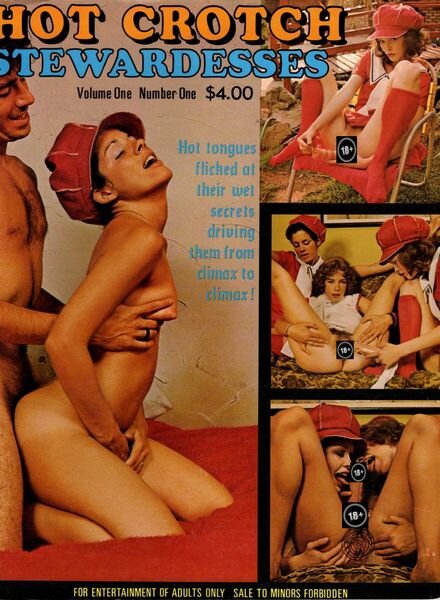 Hot Crotch Stewardesses 1980 Cover
