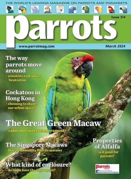 Parrots – March 2024 Cover