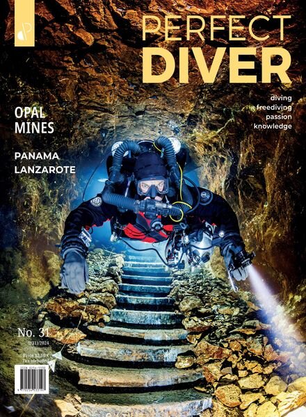 Perfect Diver – January-February 2024 Cover