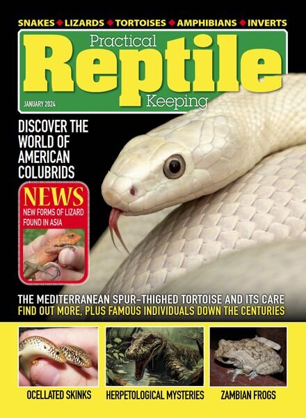 Practical Reptile Keeping – January 2024 Cover