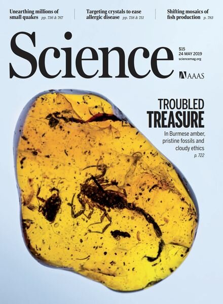 Science – 24 May 2019 Cover