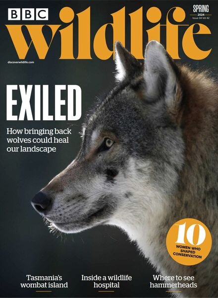 BBC Wildlife – Spring 2024 Cover