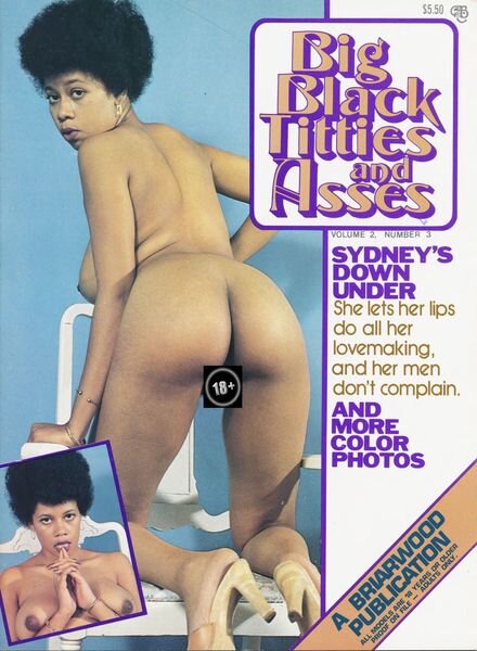 Big Black Titties and Asses – Vol 2 N 3 1979 Cover