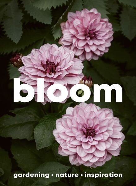 Bloom – Issue 16 – 7 March 2024 Cover