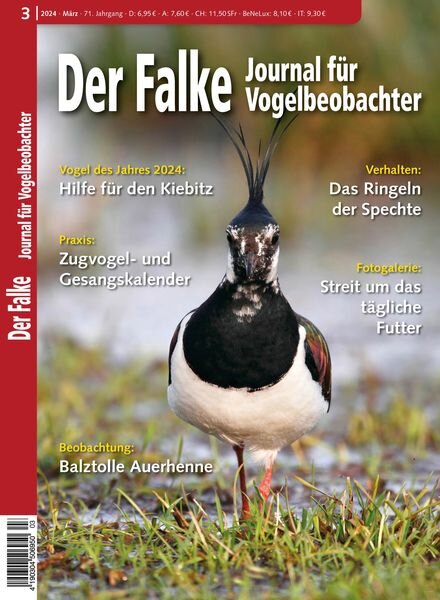 Der Falke Journal fur Vogelbeobachter – Marz 2024 Cover