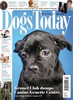 Dogs Today UK – March 2024