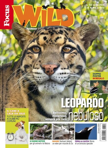 Focus Wild – Aprile 2024 Cover