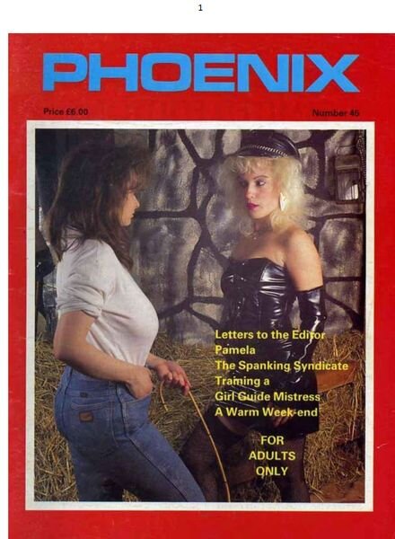 Phoenix – N 45 Cover