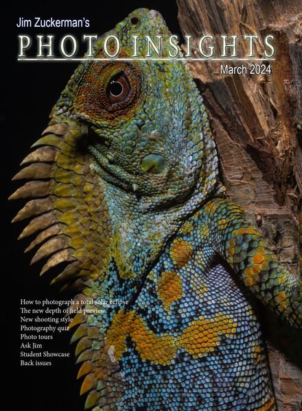 Photo Insights – March 2024 Cover